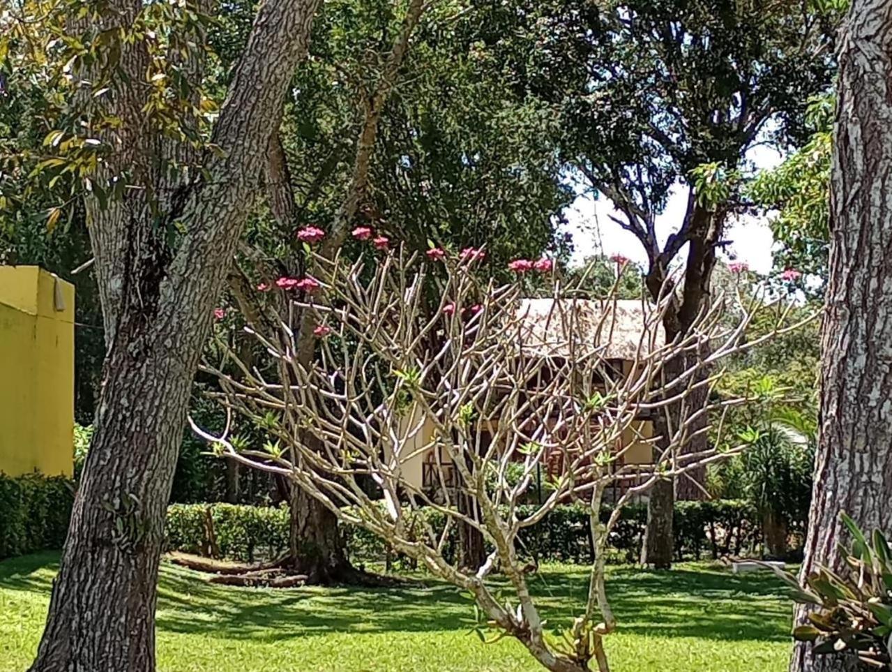 Hotel Villas Chicanna Εξωτερικό φωτογραφία